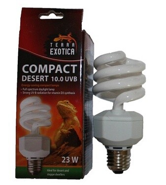 Compact-Lampe