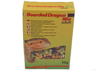 Bearded Dragon Mix adult