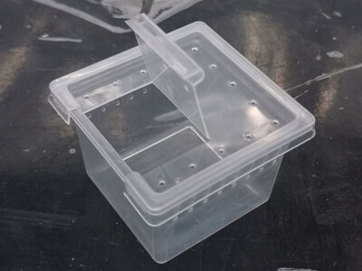 SpinnenBox mini