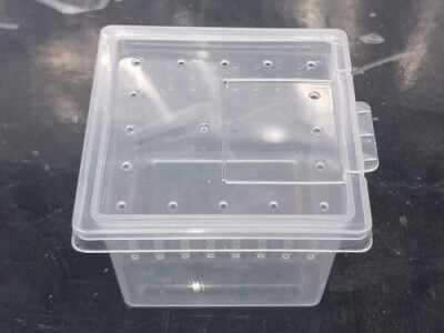 SpinnenBox mini
