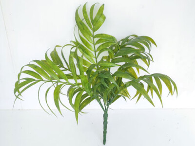 Palmblattbusch
