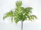 Palmblattbusch