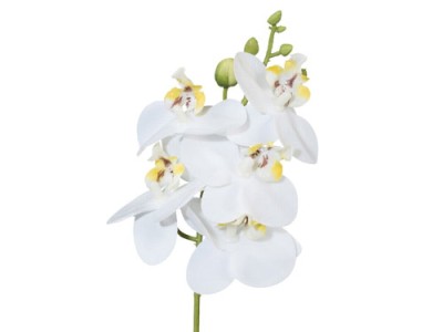 Orchideenzweig weiß 27cm