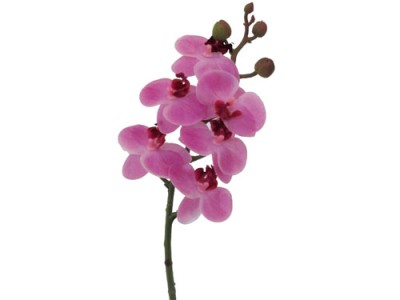 Orchideenzweig lila 46cm