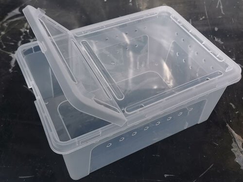 SpinnenBox XL; abgedunkelt
