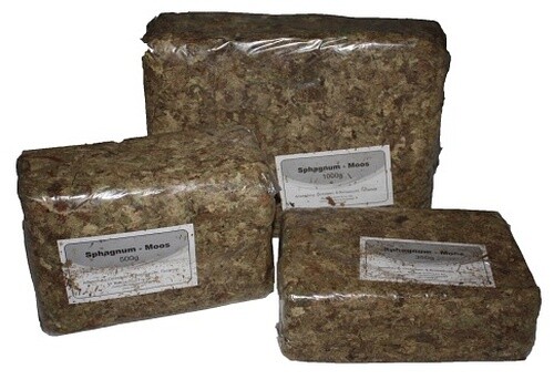 Sphagnummoos - trocken - Kerf Terraristik Onlineshop